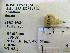  ( - 1B-960)  @12 [ ] Unspecified (default): All Rights Reserved  Unspecified Unspecified