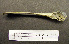  ( - 1B-1005)  @12 [ ] CreativeCommons - Attribution (2010) Unspecified Royal Ontario Museum