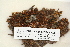  ( - CCDB-25686-A05)  @11 [ ] CreativeCommons - Attribution (2018) Masha L. Kuzmina Centre for Biodiversity Genomics