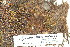  ( - CCDB-25686-G03)  @11 [ ] CreativeCommons - Attribution Non-Commercial Share-Alike (2018) Masha L. Kuzmina Canadian Centre for DNA Barcoding