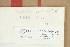  ( - CCDB-25686-G11)  @11 [ ] CreativeCommons - Attribution Non-Commercial Share-Alike (2018) Masha L. Kuzmina Canadian Centre for DNA Barcoding