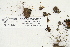  ( - CCDB-25686-H12)  @11 [ ] CreativeCommons - Attribution Non-Commercial Share-Alike (2018) Masha L. Kuzmina Canadian Centre for DNA Barcoding
