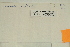  ( - CCDB-25686-H12)  @11 [ ] CreativeCommons - Attribution Non-Commercial Share-Alike (2018) Masha L. Kuzmina Canadian Centre for DNA Barcoding