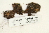  ( - CCDB-25687-B04)  @11 [ ] CreativeCommons - Attribution Non-Commercial Share-Alike (2018) Masha L. Kuzmina Canadian Centre for DNA Barcoding