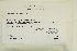  (Schistidium papillosum - CCDB-25687-B11)  @11 [ ] CreativeCommons - Attribution Non-Commercial Share-Alike (2018) Masha L. Kuzmina Canadian Centre for DNA Barcoding