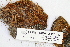  ( - CCDB-25687-D02)  @11 [ ] CreativeCommons - Attribution Non-Commercial Share-Alike (2018) Masha L. Kuzmina Canadian Centre for DNA Barcoding