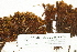  ( - CCDB-25687-E05)  @11 [ ] CreativeCommons - Attribution Non-Commercial Share-Alike (2018) Masha L. Kuzmina Canadian Centre for DNA Barcoding