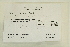  (Ptychostomum pendulum - CCDB-25687-E11)  @11 [ ] CreativeCommons - Attribution Non-Commercial Share-Alike (2018) Masha L. Kuzmina Canadian Centre for DNA Barcoding