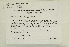  ( - CCDB-25687-G10)  @11 [ ] CreativeCommons - Attribution Non-Commercial Share-Alike (2018) Masha L. Kuzmina Canadian Centre for DNA Barcoding