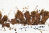  ( - CCDB-25688-C01)  @11 [ ] CreativeCommons - Attribution Non-Commercial Share-Alike (2018) Masha L. Kuzmina Canadian Centre for DNA Barcoding