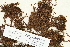  ( - CCDB-25688-C02)  @11 [ ] CreativeCommons - Attribution Non-Commercial Share-Alike (2018) Masha L. Kuzmina Canadian Centre for DNA Barcoding