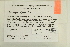  ( - CCDB-25688-C02)  @11 [ ] CreativeCommons - Attribution Non-Commercial Share-Alike (2018) Masha L. Kuzmina Canadian Centre for DNA Barcoding