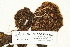  ( - CCDB-25688-E03)  @11 [ ] CreativeCommons - Attribution Non-Commercial Share-Alike (2018) Masha L. Kuzmina Canadian Centre for DNA Barcoding