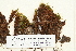  ( - CCDB-25688-E09)  @11 [ ] CreativeCommons - Attribution Non-Commercial Share-Alike (2018) Masha L. Kuzmina Canadian Centre for DNA Barcoding