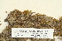  ( - CCDB-25688-F02)  @11 [ ] CreativeCommons - Attribution Non-Commercial Share-Alike (2018) Masha L. Kuzmina Canadian Centre for DNA Barcoding