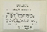  ( - CCDB-25688-G06)  @11 [ ] CreativeCommons - Attribution Non-Commercial Share-Alike (2018) Masha L. Kuzmina Canadian Centre for DNA Barcoding