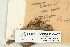  ( - CCDB-25695-A07)  @11 [ ] CreativeCommons - Attribution Non-Commercial Share-Alike (2018) Masha L. Kuzmina Canadian Centre for DNA Barcoding