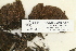  ( - CCDB-25695-C07)  @11 [ ] CreativeCommons - Attribution Non-Commercial Share-Alike (2018) Masha L. Kuzmina Canadian Centre for DNA Barcoding