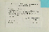  ( - CCDB-25695-F11)  @11 [ ] CreativeCommons - Attribution Non-Commercial Share-Alike (2018) Masha L. Kuzmina Canadian Centre for DNA Barcoding