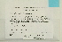  ( - CCDB-25695-G09)  @11 [ ] CreativeCommons - Attribution Non-Commercial Share-Alike (2018) Masha L. Kuzmina Canadian Centre for DNA Barcoding