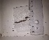  (Tortella fruchartii - JimenezIBOL32)  @11 [ ] Copyright (2019) IBONE IBONE