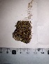  ( - JimenezIBOL73)  @11 [ ] Copyright (2019) IBONE IBONE