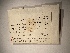  ( - UBC-B-B5328)  @11 [ ] (by-nc) (2022) Unspecified University of British Columbia Herbarium