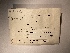  ( - UBC-B-B24438)  @11 [ ] (by-nc) (2022) Unspecified University of British Columbia Herbarium