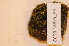  ( - CCDB-18875_A4)  @11 [ ] CreativeCommons - Attribution Non-Commercial Share-Alike (2013) NTNU Museum of Natural History and Archaeology NTNU Museum of Natural History and Archaeology