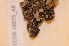  ( - CCDB-18875_A8)  @11 [ ] CreativeCommons - Attribution Non-Commercial Share-Alike (2013) NTNU Museum of Natural History and Archaeology NTNU Museum of Natural History and Archaeology