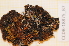  ( - CCDB-18875_B7)  @11 [ ] CreativeCommons - Attribution Non-Commercial Share-Alike (2013) NTNU Museum of Natural History and Archaeology NTNU Museum of Natural History and Archaeology
