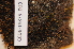  ( - CCDB-18875_D10)  @11 [ ] CreativeCommons - Attribution Non-Commercial Share-Alike (2013) NTNU Museum of Natural History and Archaeology NTNU Museum of Natural History and Archaeology