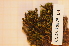  ( - CCDB-18875_D4)  @11 [ ] CreativeCommons - Attribution Non-Commercial Share-Alike (2013) NTNU Museum of Natural History and Archaeology NTNU Museum of Natural History and Archaeology