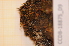  ( - CCDB-18875_D9)  @11 [ ] CreativeCommons - Attribution Non-Commercial Share-Alike (2013) NTNU Museum of Natural History and Archaeology NTNU Museum of Natural History and Archaeology