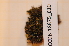  ( - CCDB-18875_E10)  @11 [ ] CreativeCommons - Attribution Non-Commercial Share-Alike (2013) NTNU Museum of Natural History and Archaeology NTNU Museum of Natural History and Archaeology