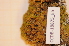  ( - CCDB-18875_E5)  @11 [ ] CreativeCommons - Attribution Non-Commercial Share-Alike (2013) NTNU Museum of Natural History and Archaeology NTNU Museum of Natural History and Archaeology