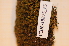  ( - CCDB-18875_F5)  @11 [ ] CreativeCommons - Attribution Non-Commercial Share-Alike (2013) NTNU Museum of Natural History and Archaeology NTNU Museum of Natural History and Archaeology