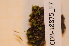  ( - CCDB-18875_F7)  @11 [ ] CreativeCommons - Attribution Non-Commercial Share-Alike (2013) NTNU Museum of Natural History and Archaeology NTNU Museum of Natural History and Archaeology