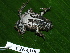  ( - CH 6318)  @13 [ ] CreativeCommons - Attribution Non-Commercial Share-Alike (2010) Copyright César Jaramillo Smithsonian Tropical Research Institute