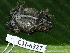  ( - CH 6327)  @13 [ ] CreativeCommons - Attribution Non-Commercial Share-Alike (2010) Copyright César Jaramillo Smithsonian Tropical Research Institute