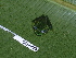  ( - CH 6683)  @13 [ ] CreativeCommons - Attribution Non-Commercial Share-Alike (2010) Copyright César Jaramillo Smithsonian Tropical Research Institute