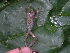  ( - AJC_2002)  @14 [ ] CreativeCommons - Attribution Non-Commercial Share-Alike (2010) Unspecified Smithsonian Tropical Research Institute