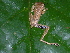  ( - AJC_2012)  @15 [ ] CreativeCommons - Attribution Non-Commercial Share-Alike (2010) Unspecified Smithsonian Tropical Research Institute