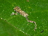  ( - AJC_2014)  @11 [ ] CreativeCommons - Attribution Non-Commercial Share-Alike (2010) Unspecified Smithsonian Tropical Research Institute