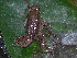  ( - AJC_2015)  @15 [ ] CreativeCommons - Attribution Non-Commercial Share-Alike (2010) Unspecified Smithsonian Tropical Research Institute