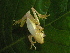  ( - AJC_2023)  @11 [ ] CreativeCommons - Attribution Non-Commercial Share-Alike (2010) Unspecified Smithsonian Tropical Research Institute