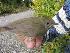  ( - MKNO 1871 66609)  @13 [ ] Copyright (2010) Unspecified Unspecified