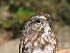  ( - MKNO 1871 66617)  @13 [ ] Copyright (2010) Unspecified Unspecified