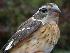  ( - MBO 2231-00805)  @14 [ ] Copyright (2010) Unspecified Unspecified