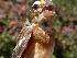  ( - MBO 861-17098)  @14 [ ] Copyright (2010) Unspecified Unspecified